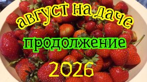 АвГуСт на даче продолжается. Рыжики, клубника, куры и петушок, дрова.....