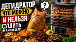 ДЕГИДРАТОР: что МОЖНО приготовить, а что НЕЛЬЗЯ?