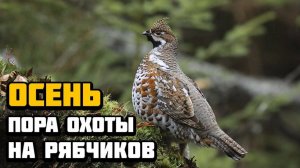 BULT: Hunting simulator,охота на рябчика...