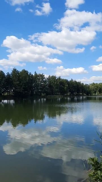 Последнии тёплые деньки лета проводим на водоеме Карпятник