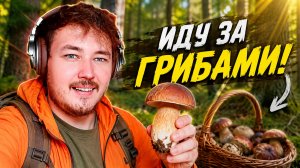 СКОЛЬКО ЗАРАБОТАЮ ГРИБНИКОМ ЗА 30 МИНУТ? 🍄 | GTA 5 RP RMRP