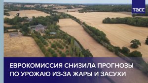 Еврокомиссия снизила прогнозы по урожаю из-за жары и засухи