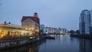 Россия: приятная пешеходная прогулка по Калининграду