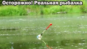 Рыбалка 17 августа на карася на поплавок на пруд за сковородным карасём!