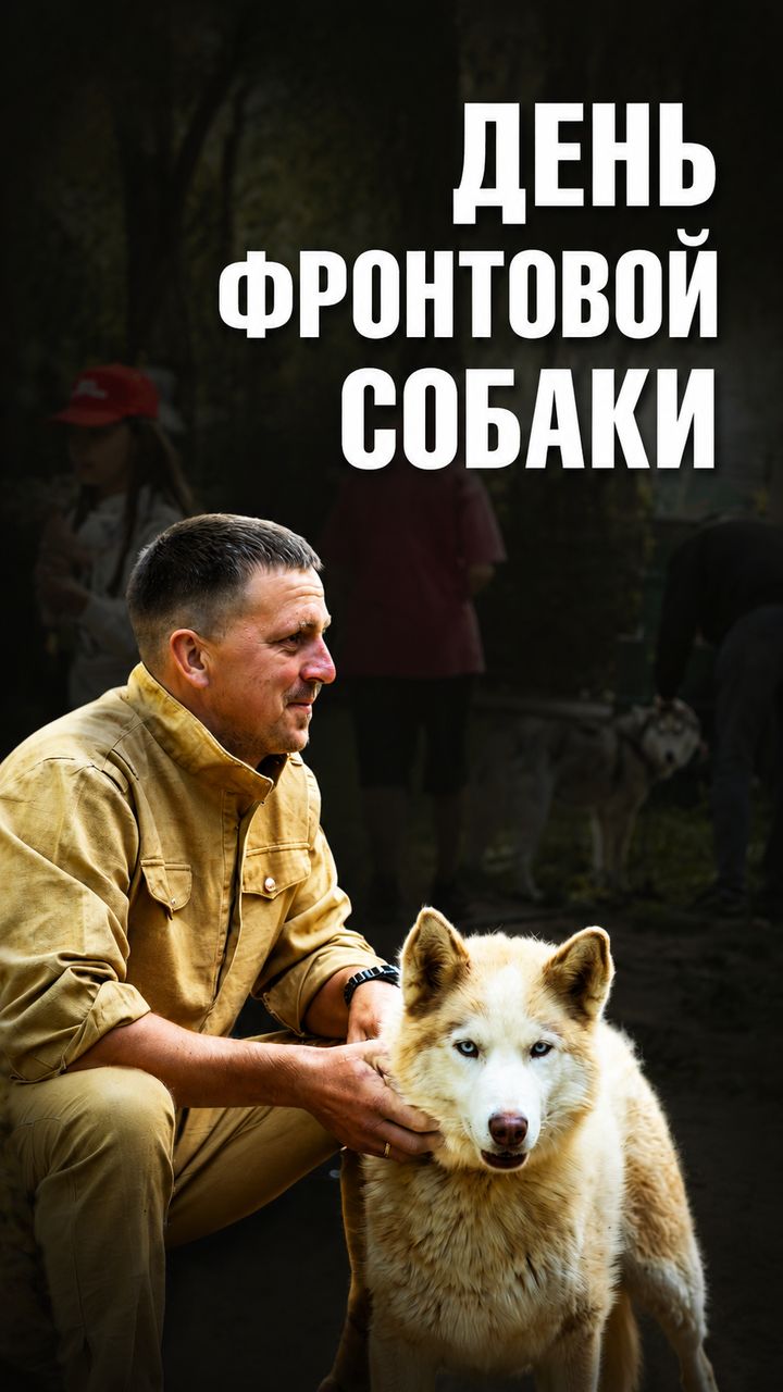 День фронтовой собаки 2026