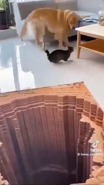 Приколы