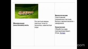 Уход за садом с Анастасией Борункова 18.8 14:00