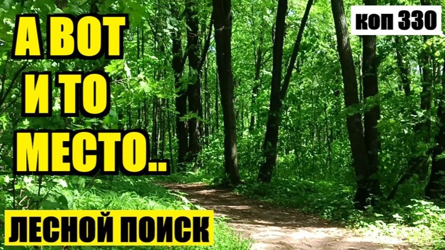 Я ЕГО НАШЕЛ ХОТЯ И НЕ СРАЗУ. коп 330
