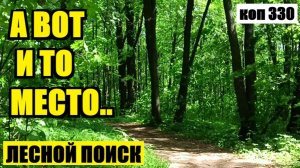 Я ЕГО НАШЕЛ ХОТЯ И НЕ СРАЗУ. коп 330