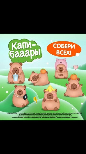 Капибара от Бамлипов 1 [03.07.2026 г.] #shorts