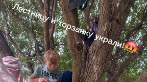 У нас украли лестницу и торзанку!🤬