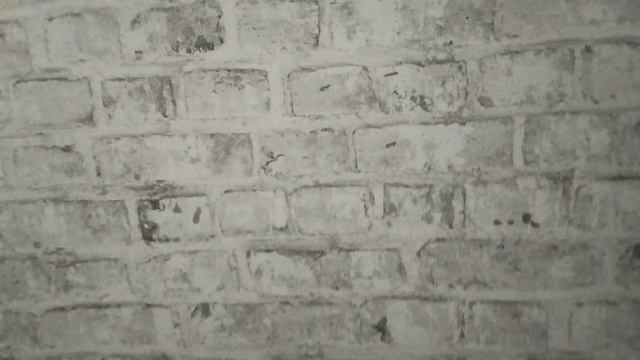 1 видео. я друг феадорикагриф