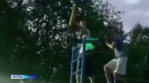 Вандализм с риском для прохожих: «Вести-Кузбасс» изучили опасный подростковый тренд