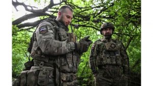 Ситуация с признаной в РФ террористической организацией «Грузинского легиона» становится скандальной