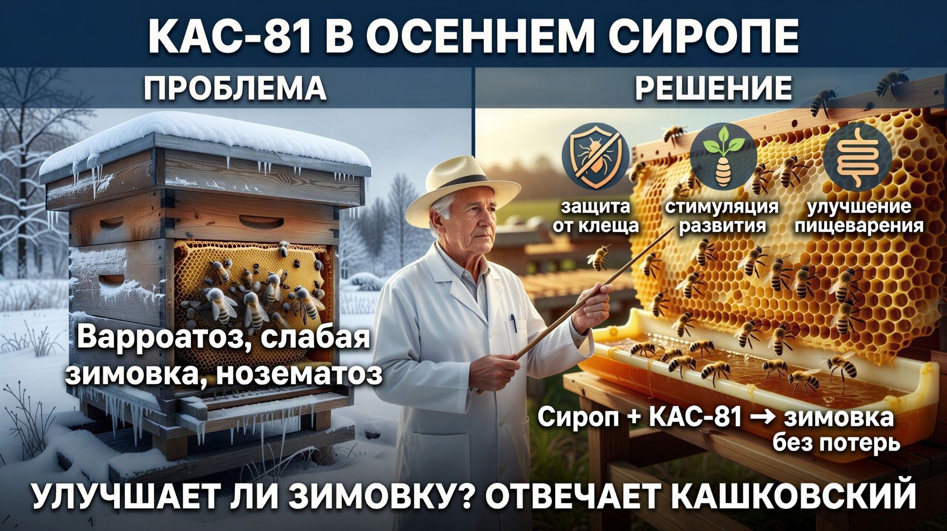 🍯 КАС-81 в сиропе: как правильно применять для подготовки пчёл к зиме? Отвечает Кашковский 🐝📋