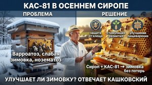 🍯 КАС-81 в сиропе: как правильно применять для подготовки пчёл к зиме? Отвечает Кашковский 🐝📋