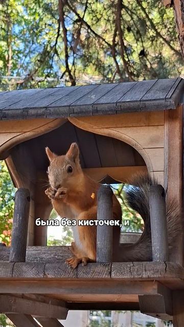 Встречали ботов?