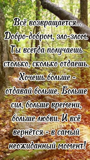 #shorts Цитаты/Психология отношений/ Мотивация/ Мудрые Советы Слова/ Фразы/Мудрые изречения