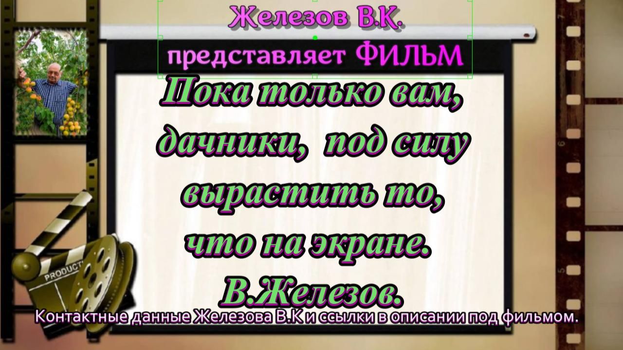 Пока только вам, дачники,  под силу вырастить то, что на экране.  В.Железов.