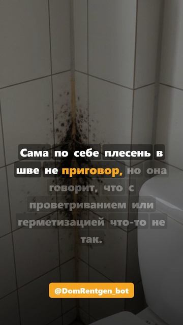 Чёрная плесень за унитазом #shorts