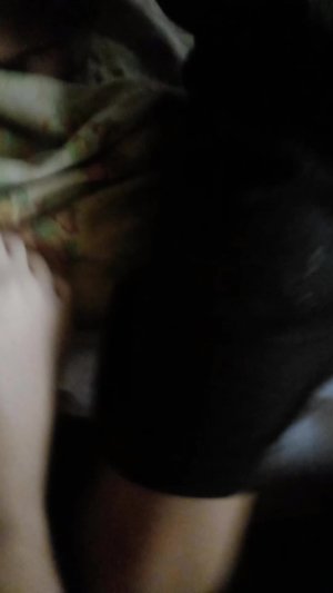 моя собака