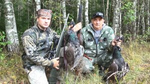 ОХОТА НА ГЛУХАРЯ С ПОДХОДА С НАПАРНИКОМ. ПЕРВЫЕ ТРОФЕИ СЕЗОНА ДОБЫТЫ. ОХОТА С МЕЛКАШКОЙ В ТАЙГЕ.