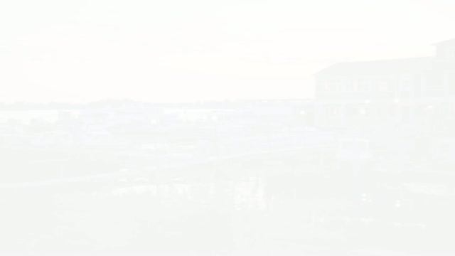 Белуга август 2026