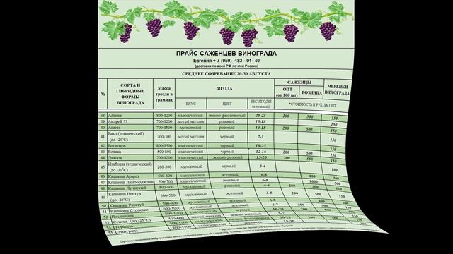 Каталог саженцев и черенков винограда +7(959)-183-01-40 Евгений РОМАН.