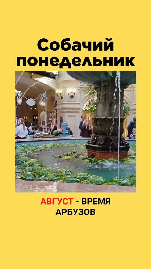 ХОЧУ АРБУЗ