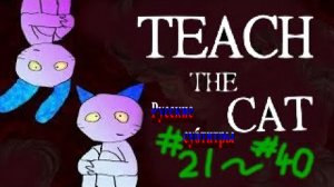 TEACH THE CAT #21~#40 (Русские Субтитры)