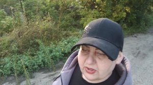утренняя прогулка по парку