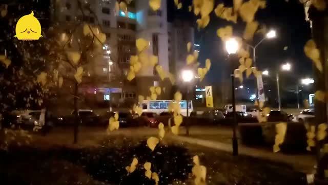 Осенние листья