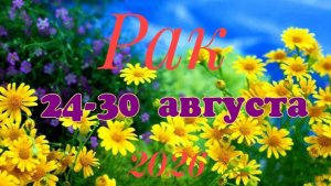 Рак♋ Таро-прогноз на неделю с 24 по 30 августа 🕊