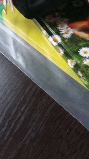 Реборн Илона