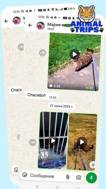  Планируете переезд с питомцем в Сербию? Мы можем организовать его путешествие под ключ.