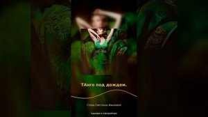 Танго под дождем