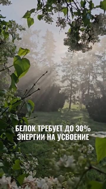 Метаболизм и вес: как поддерживать обмен веществ без жестких ограничений