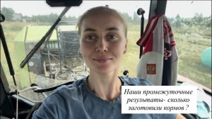 Заготовка кормов в самом разгаре! Заготавливаем сено и сенаж в Тверской области! Продаем Баранов!
