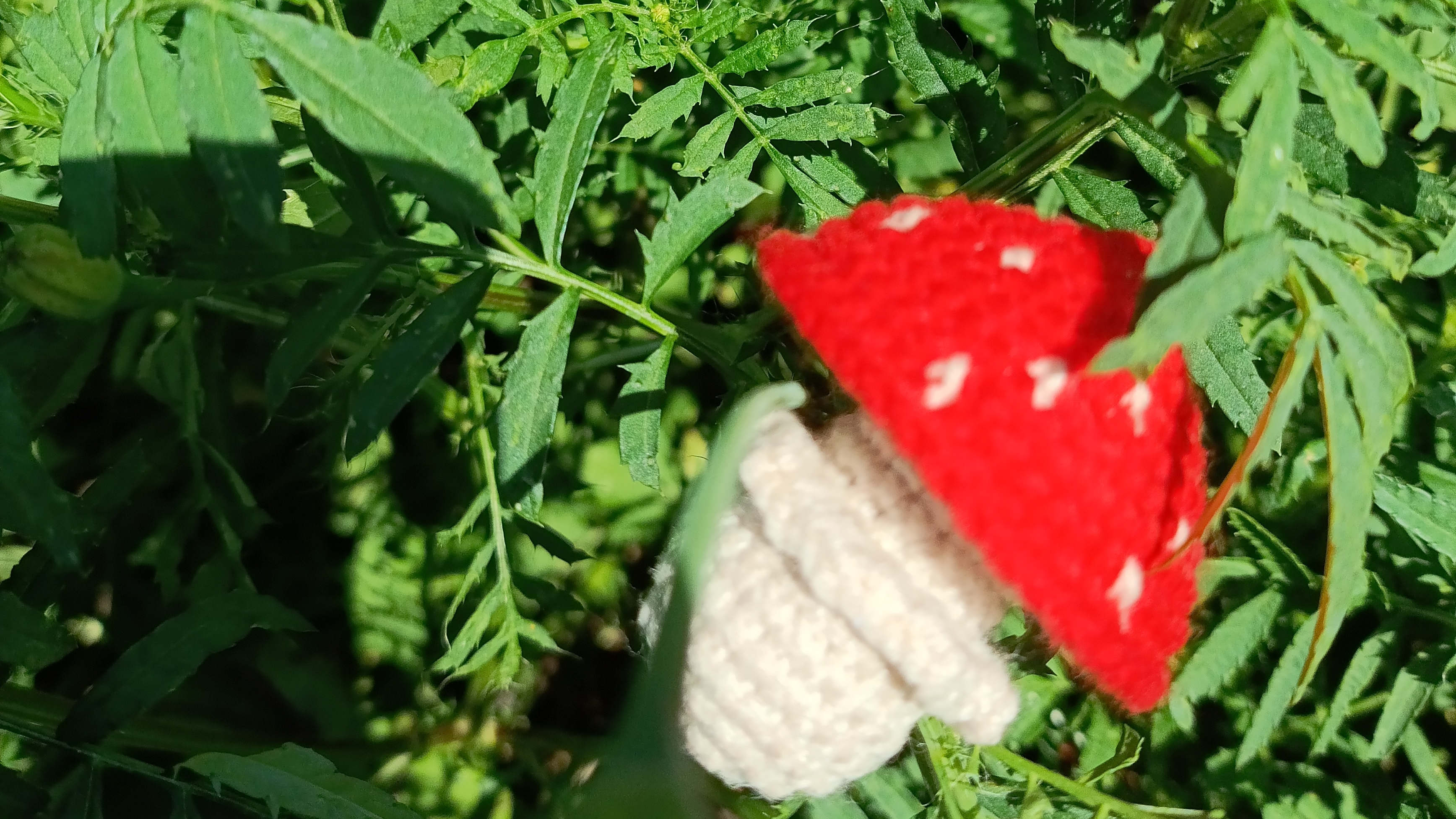 Бешеные крючки моно. Сколько игрушек из моточка пряжи? Мухоморчики 🍄 Разные схемы.