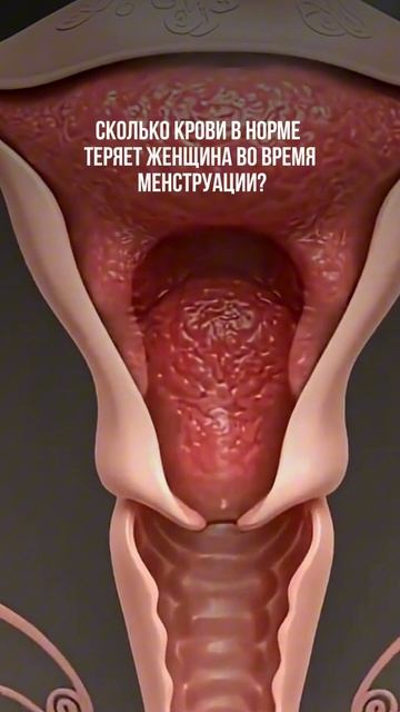 Сколько крови теряет женщина за менструацию?