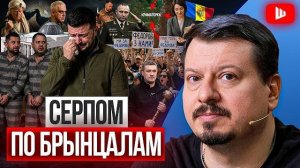 У ЗЕ ПАНИКА. ВЕЗДЕ ВСЁ ПЛОХО Контроль над ВСУ теряют. Уголовка Ермаку и Арахамии . ПАВЛИВ  ШЕЛЕС