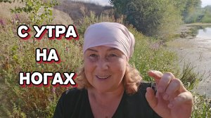 Занялась здоровьем, сплетничать мне некогда