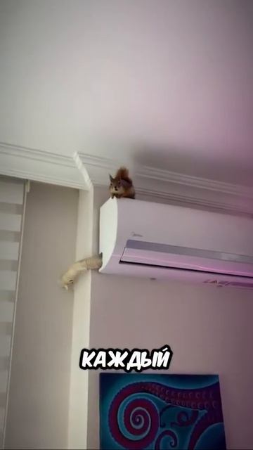 Гроза района 😎😄😄
