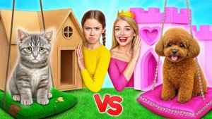 Строим Секретные Домики для Животных _ Богатая Собака vs Бедная Кошка