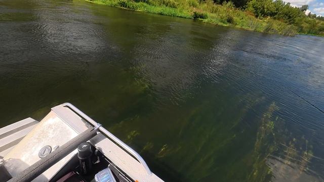 ЗАСТРЯЛИ В ГРЯЗИ. На лодке за жерехом.