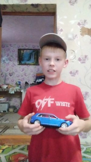 ПАВЛИК ПОДСТАВИЛ БОРЬКУ