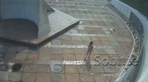 🔴Окраїна. В Каменском, Днепропетровской области, местная жительница закидала памятник дохлым хероям