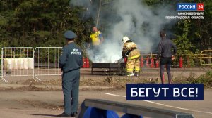 ВЕСТИ 24  Санкт-Петербург от 18.08.2026
