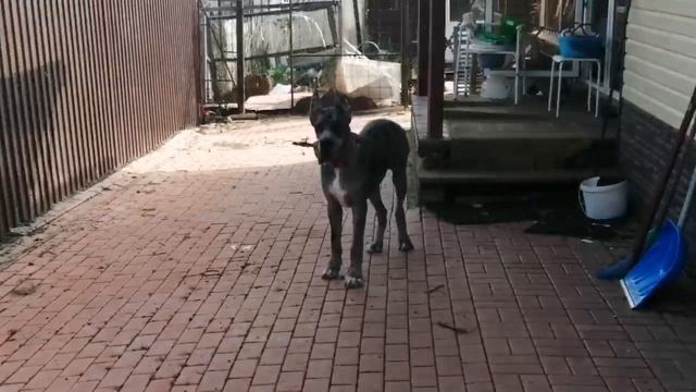 подрастает потихоньку