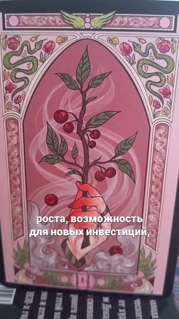 Что ждёт сегодня? 19.08.2026